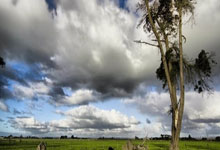 开云体育在线-球员训练态度认真，为比赛做好准备