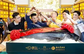 高能盛宴燃起指望，欧预赛比赛风生水起的简单介绍