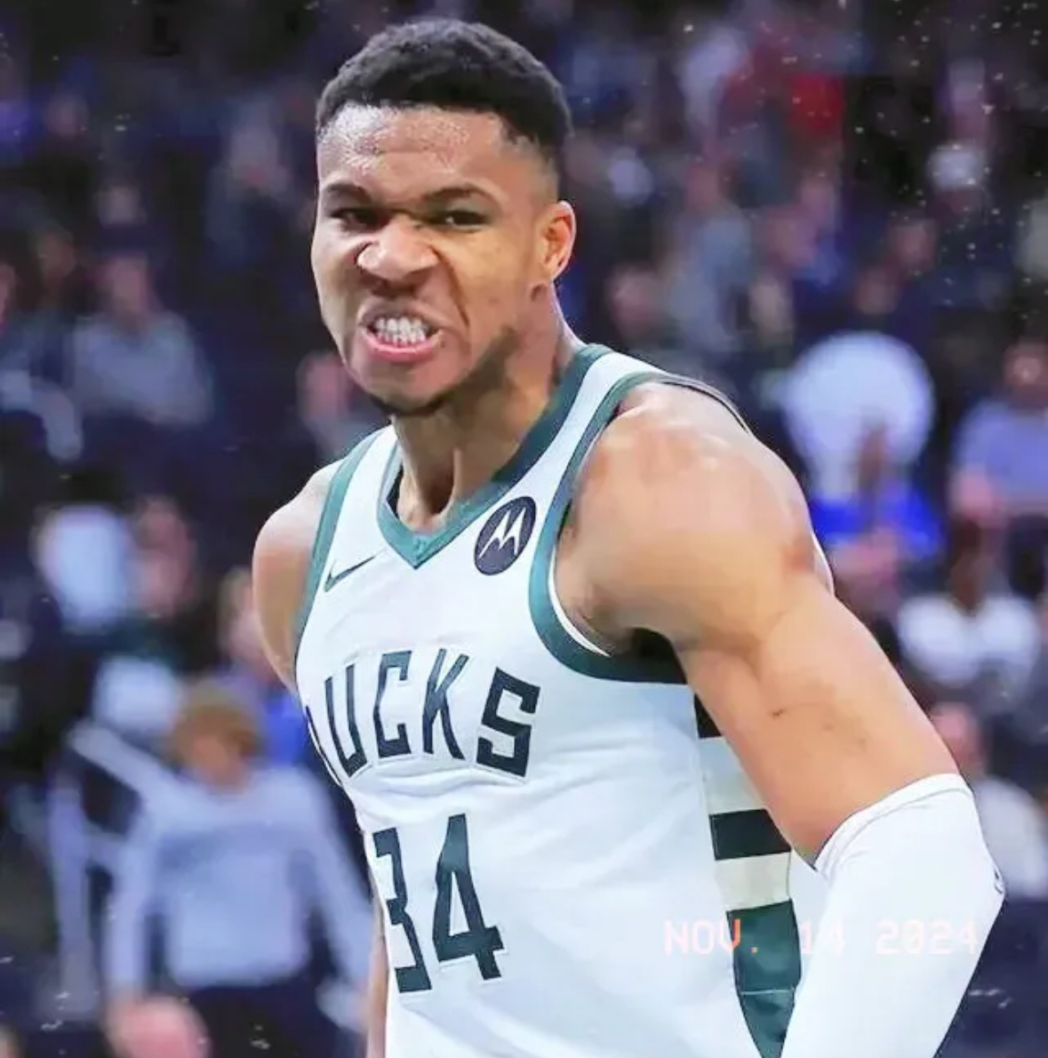 关于雄鹿横扫奇才，字母哥盖帽迷翻的信息